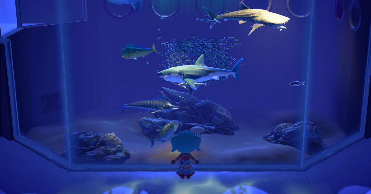 Animal Crossing: New Horizons aquarium experience is going on tour