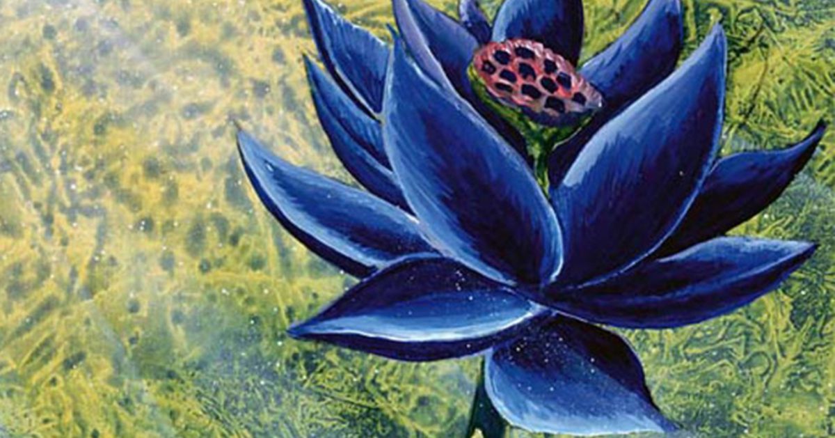 Magic: The Gathering Black Lotus sells for record-breaking $3 million